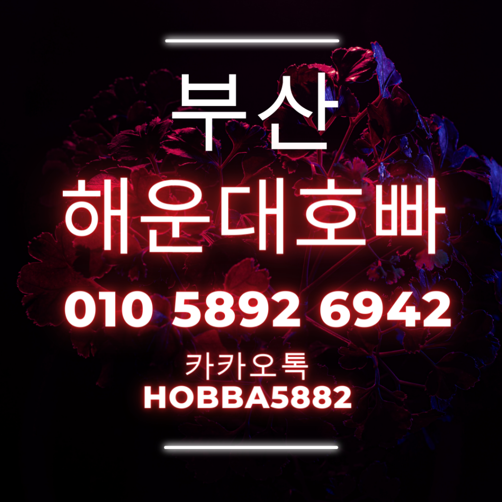 해운대깐따삐야 벨벳 미슐랭 맛집 부산나이트클럽